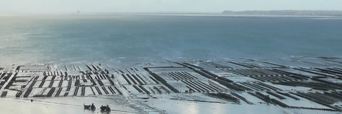 image-installation-carport-solaire-cancale.webp Image Installation carport solaire Cancale