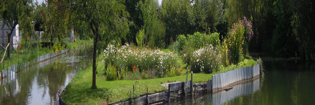 image-installation-carport-solaire-cher.webp Image Installation carport solaire Cher