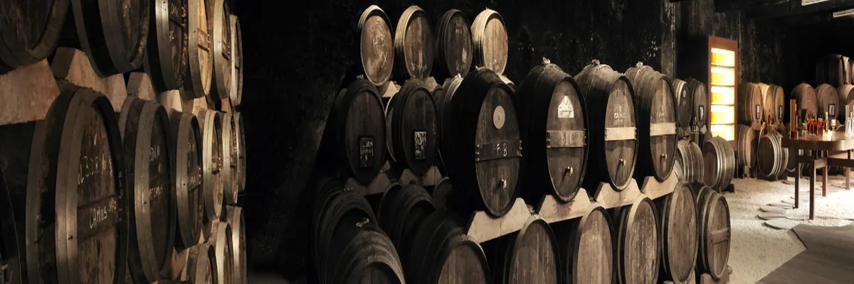 image-installation-carport-solaire-cognac.webp Image Installation carport solaire Cognac