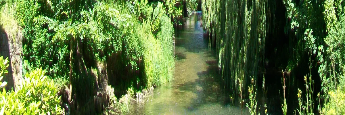 image-installation-carport-solaire-gouvieux.webp Image Installation carport solaire Gouvieux