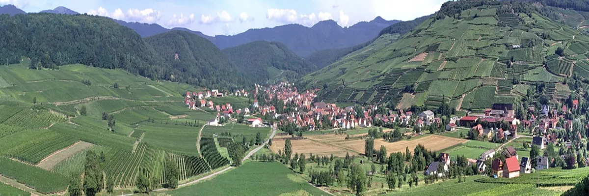 image-installation-carport-solaire-grand-est.webp Image Installation carport solaire Grand Est