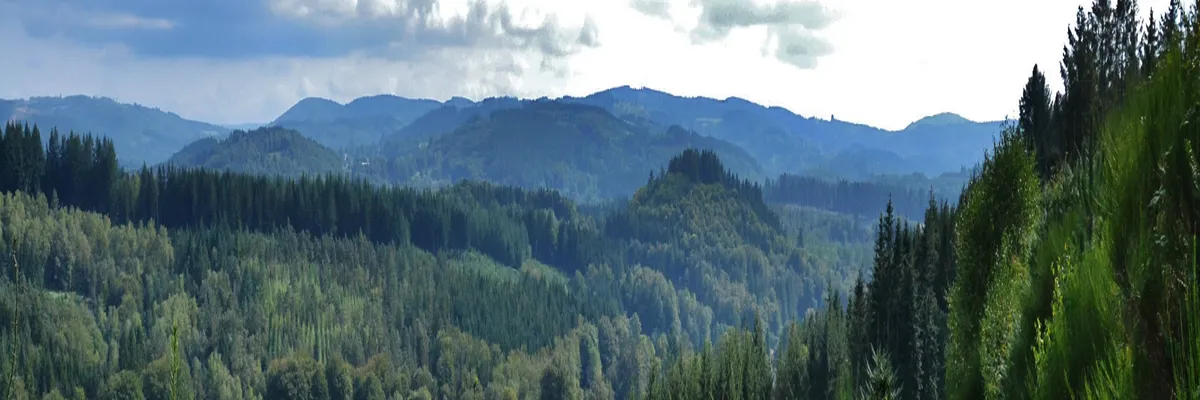 image-installation-carport-solaire-haute-vienne.webp Image Installation carport solaire Haute-Vienne