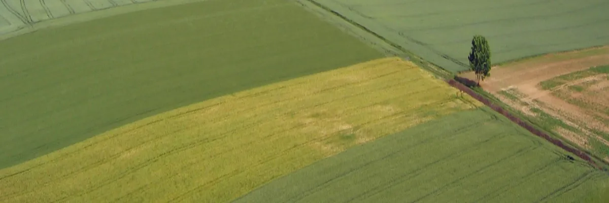 image-installation-carport-solaire-hauts-de-france.webp Image Installation carport solaire Hauts-de-France