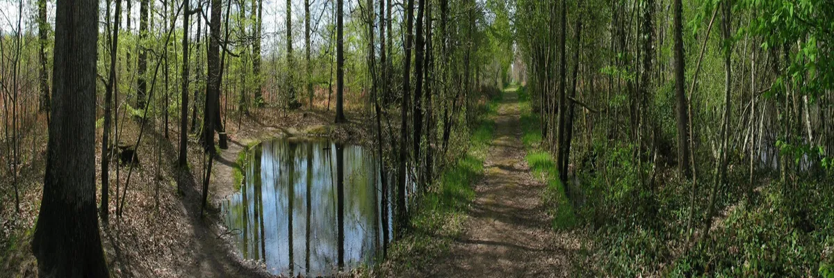 Image Installation carport solaire Indre