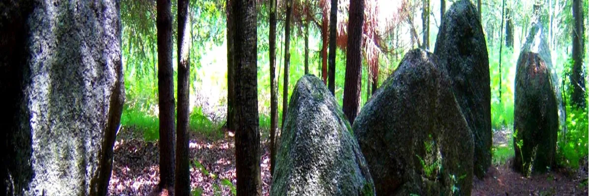 image-installation-carport-solaire-languidic.webp Image Installation carport solaire Languidic