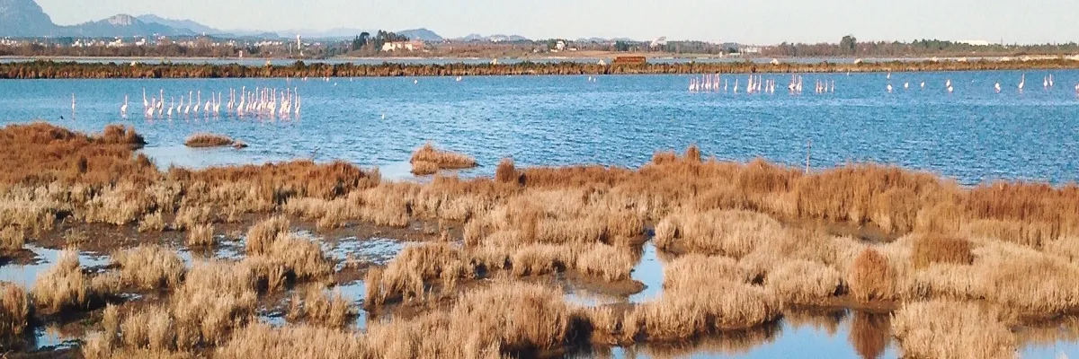 image-installation-carport-solaire-lattes.webp Image Installation carport solaire Lattes