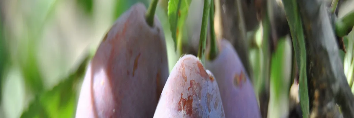image-installation-carport-solaire-lot-et-garonne.webp Image Installation carport solaire Lot-et-Garonne