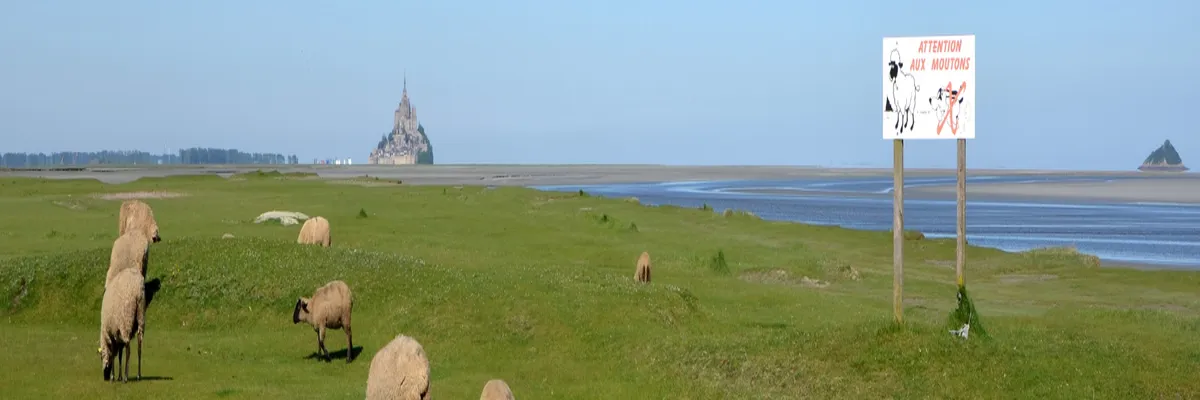 image-installation-carport-solaire-manche.webp Image Installation carport solaire Manche