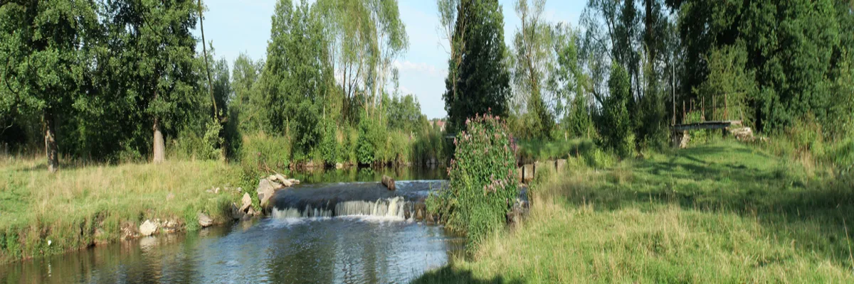 image-installation-carport-solaire-meurthe-et-moselle.webp Image Installation carport solaire Meurthe-et-Moselle