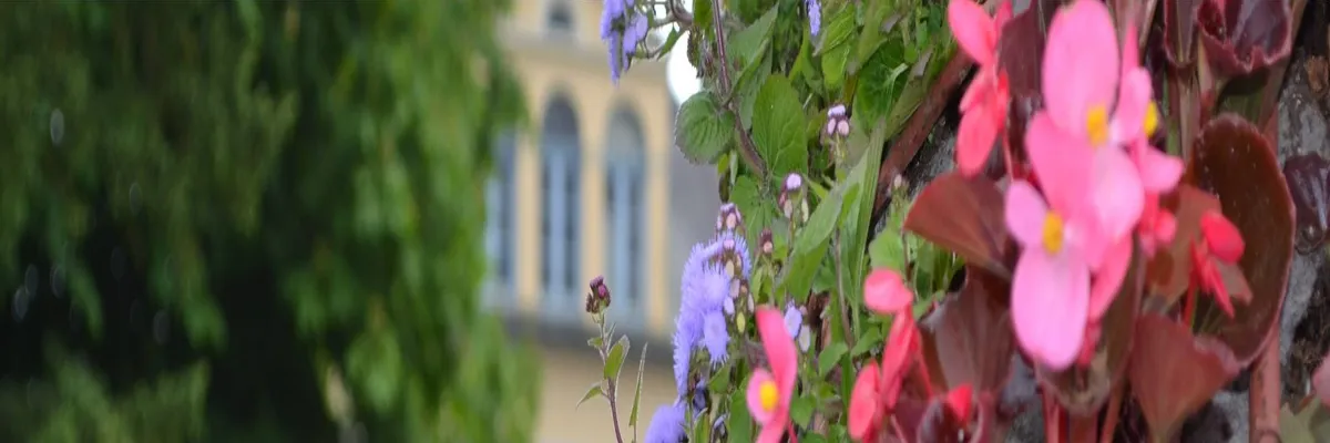 image-installation-carport-solaire-saint-etienne-au-mont.webp Image Installation carport solaire Saint-Étienne-au-Mont