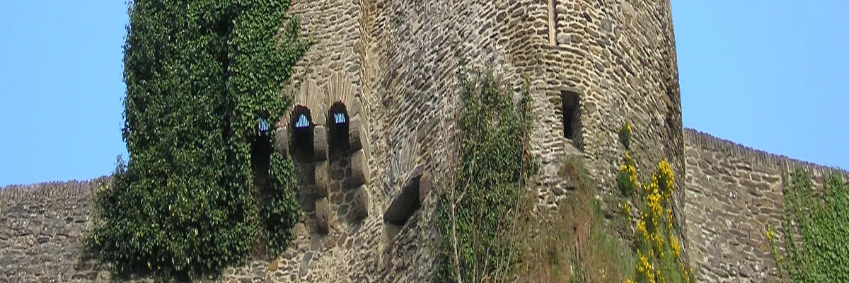 image-installation-carport-solaire-saint-lo.webp Image Installation carport solaire Saint-Lô
