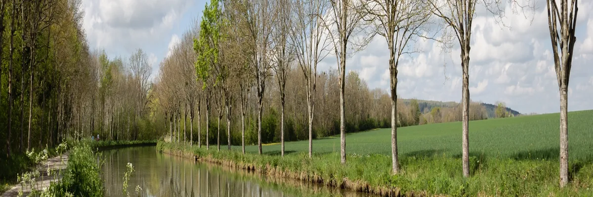 image-installation-carport-solaire-yonne.webp Image Installation carport solaire Yonne