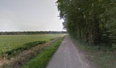 Image de 21 Panneaux Solaires