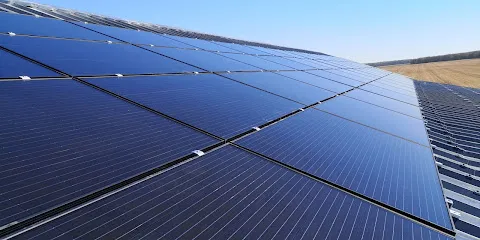 Image de Berry Watts