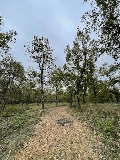Image de Ferme photovoltaïque