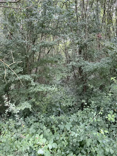 Image de PARC PHOTOVOLTAIQUE