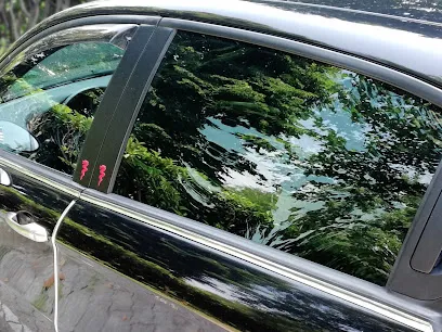 Image de Solarplexius France