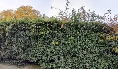 Image de Volcasun - votre expert en panneaux photovoltaïques et bornes de recharge en Auvergne-Rhône-Alpes - https://volcasun.fr