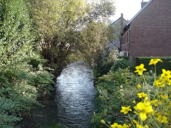 Installation Carport Solaire Installation carport solaire Déville-lès-Rouen