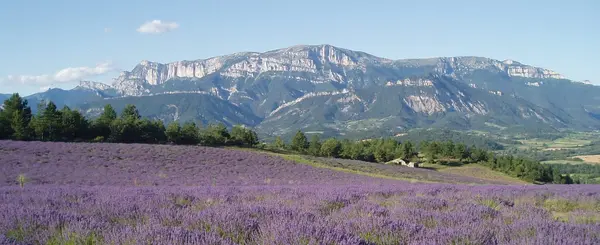 Installation Carport Solaire Installation carport solaire Drôme