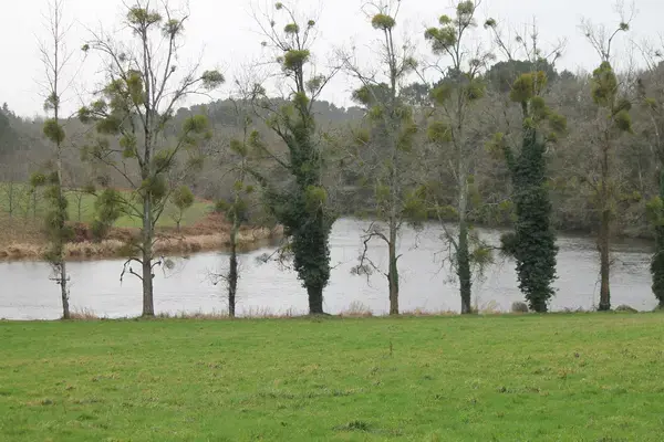 Installation Carport Solaire Installation carport solaire Muzillac