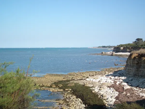 Installation Carport Solaire Installation carport solaire Nouvelle-Aquitaine